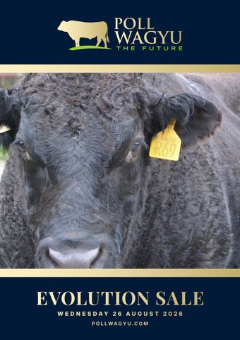 Poll Wagyu Evolution Sale 2026