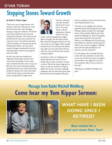Beth Tfiloh Dahan Community School & Congregation 灯饰目录 · Bulletin Fall 2026 - pages 第 12 页