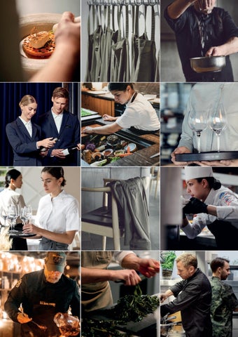 Kentaur - HoReCa Essentials Eng 第 2 页