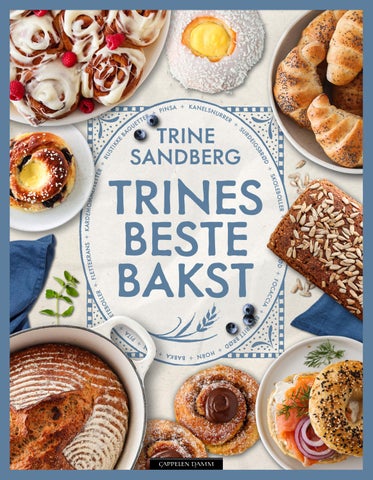 Trines_beste_bakst_issuu