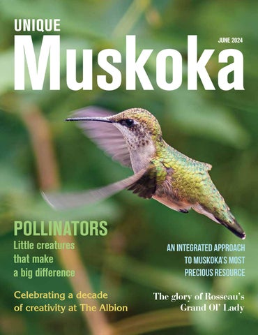 Unique Muskoka - Issue 44 - June 2024 WH