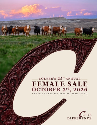 Colyer Herefords | Colyer's 25th Annual Female Sale