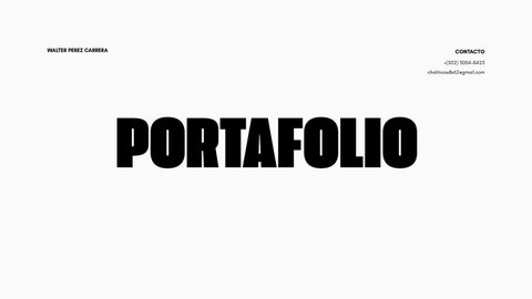 Portafolio Walter Perez