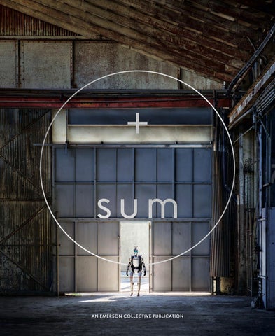 Emerson Collective - Positive Sum No 3