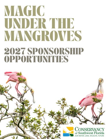 Magic 2027 Sponsorship Opportunities