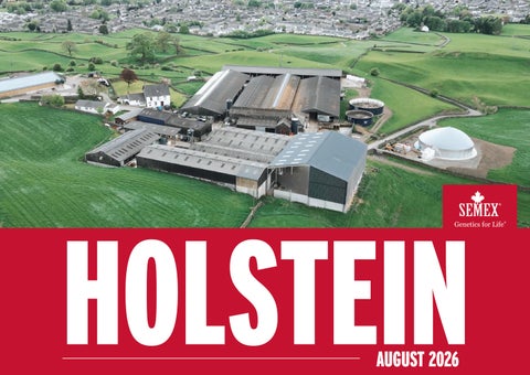 Semex UK - Holstein Sire Directory August 2026