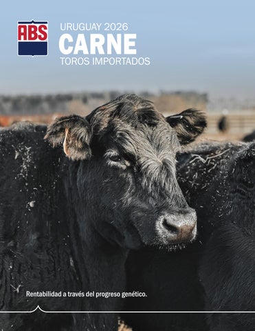 Catálogo Genética de Carne Uruguay - Toros importados 2026