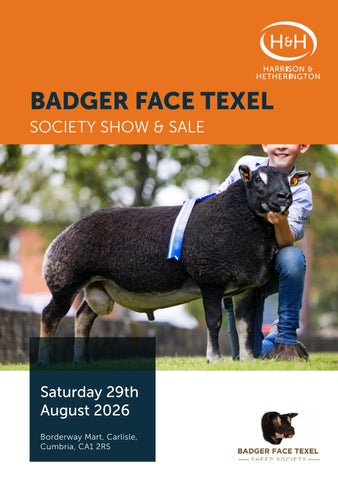 Badger Update BTV 2026