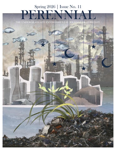 Issue 11 | Spring 2026