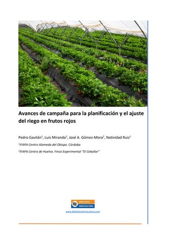 Avances de campaña para la planificación y el ajuste del riego en frutos rojos