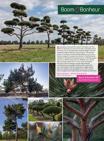 Pro Landscaper 国际 夏季 2026 第 2 页