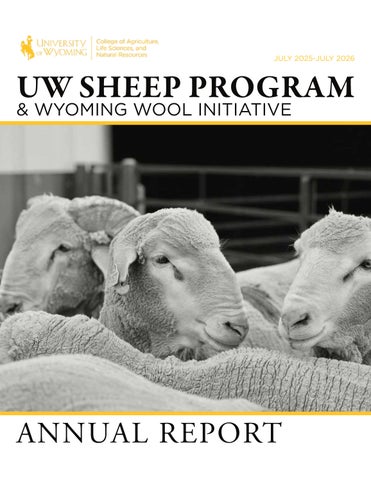 UWSheep25-26_Report