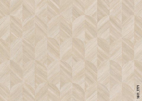 Surfaces 第 14 页