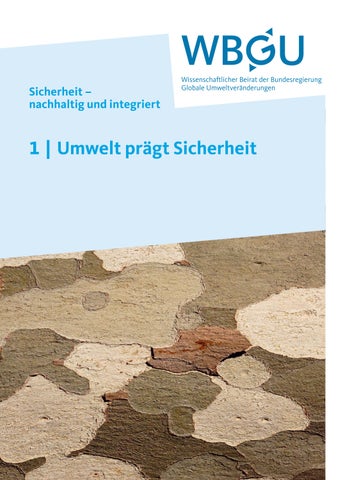 Teilgutachten 1: Umwelt prägt Sicherheit