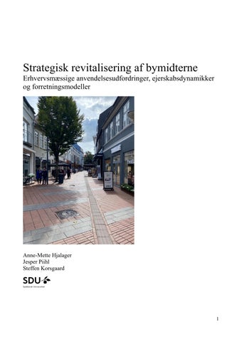 Hjalager Piihl Korsgaard. Strategisk revitalisering af bymidterne August 2026