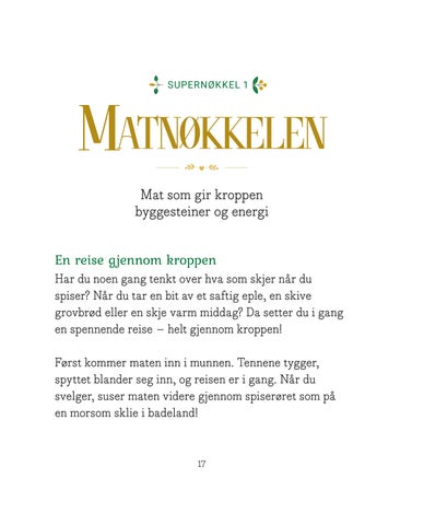 Supernøklene: Velkommen til kroppens hemmelige rike 第 17 页