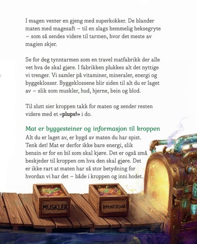Supernøklene: Velkommen til kroppens hemmelige rike 第 19 页