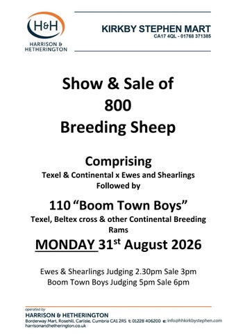 Boom Town Boys Sale 310826