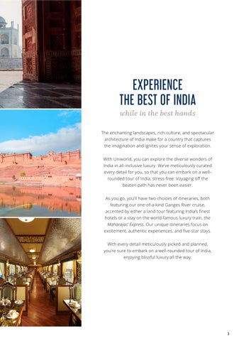 UW Spectacular Journeys in India 2027 - 欧盟 第 3 页