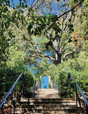 Piedmont Sustainable Parks Management Plan 第 21 页