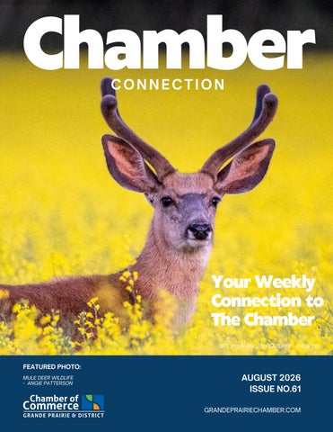 Chamber Connection Vol 61 (Aug 26)