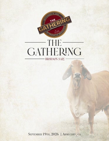 2026 The Gathering Brahman Sale Book