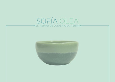 Portafolio Sofía Olea