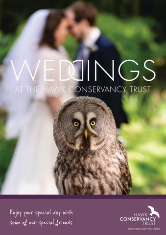 Weddings at the Hawk Conservancy Trust