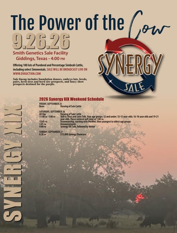 2026 Synergy XIX Sale