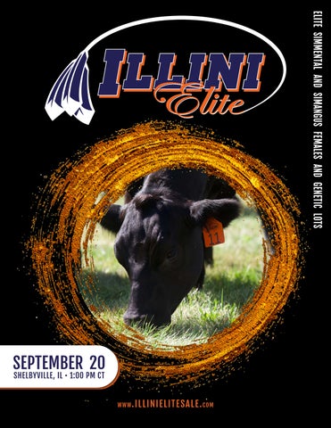 2026 Illini Elite Fall Sale Catalog