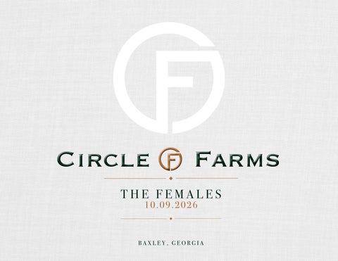 2026 Circle F Farms Female production Sale
