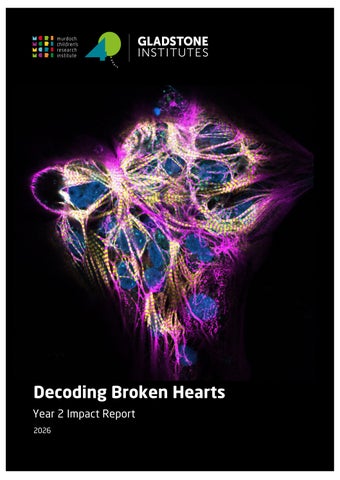 MCRI Decoding Broken Hearts Year 2 Impact Report