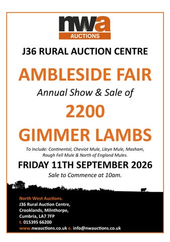 Ambleside Fair 110926