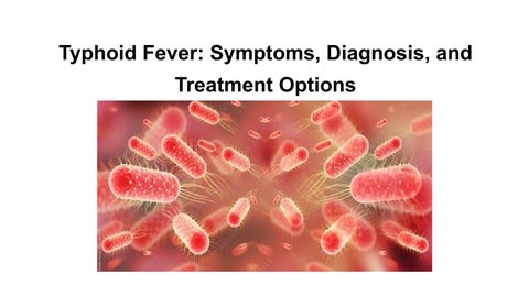 Dengue Fever: Causes, Symptoms, Diagnosis, Treatment and Prevention | Sterling Hospitals