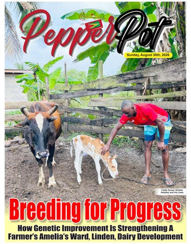 Guyana Chronicle Pepperpot E-Paper 30-08-2026