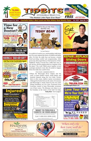 Vol 22: #36 • Teddy Bear • (8-30-2026) Tidbits of Coachella Valley