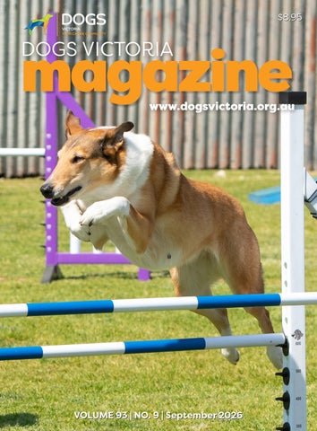 DV SEPTEMBER Magazine & Gazette 2026