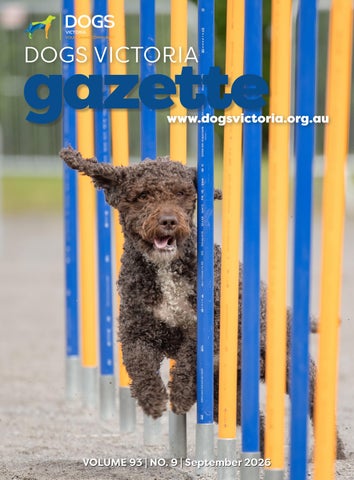 DV SEPTEMBER Gazette 2026