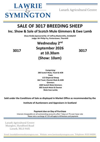 9. 020926 - Breeding Sheep inc Scotch Mules