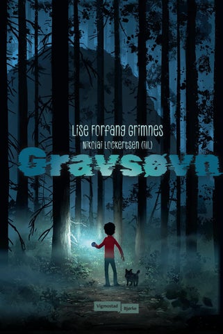Gravsøvn  (9788241968778)