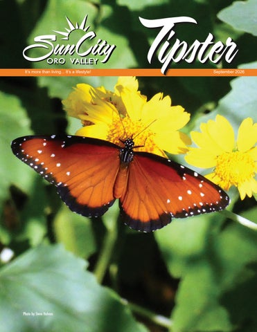 9 SEPTEMBER 2026_Tipster_Issuu