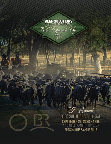 Beef Solutions Bull Sale Catalog 2026