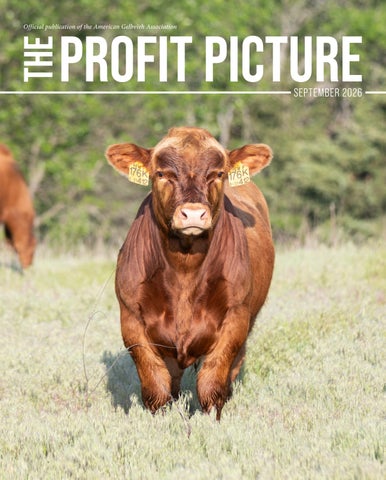 September 2026 Profit Picture
