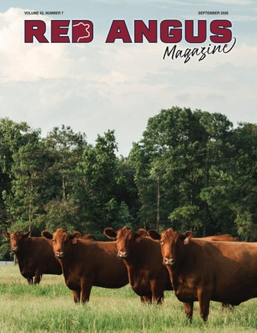 Red Angus Magazine - September 2026