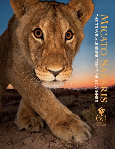 2027-2028 Micato Safaris Africa Brochure