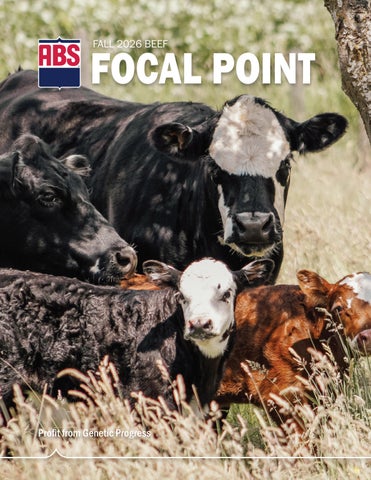 2026 Beef Fall Focal Point