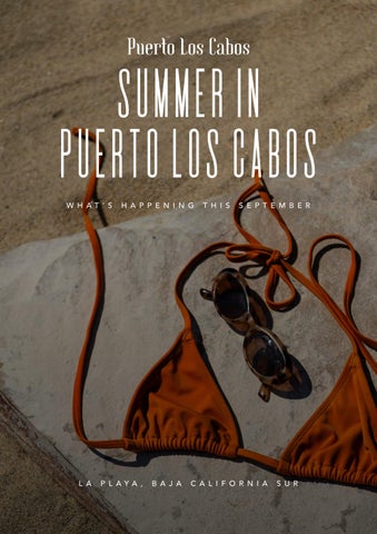 PLC _ Issuu Septiembre PDF  (1)