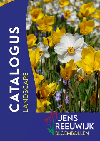 Catalogus_Landscape_2026