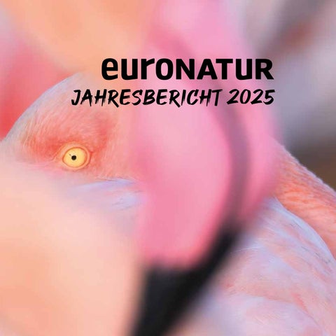EuroNatur - Jahresbericht 2025
