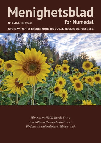 Menighetsblad for Numedal nr 4_2026